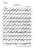 Concerto A minor - Set of Parts