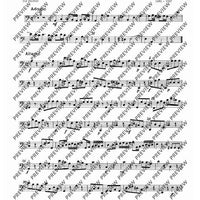 Concerto A minor - Set of Parts