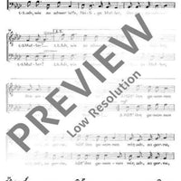 Spanisches Liederspiel - Tenor / Bass