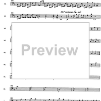 Messe solennele breve - Cello