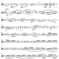 Viola Sonata in C Minor - Viola