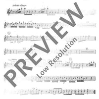 Organ Concerto No. 6 B Major in B flat major - Flute [treble Recorder] Ii