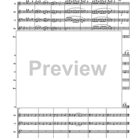 Turkey in the Straw - Score