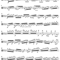 Caprice No. 15 from "Twenty-Four Caprices"