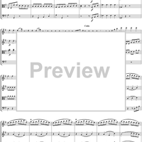 Eine kleine Nachtmusik - Score