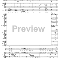 "Tiger! Wetze nur die Klauen", No. 13 from "Zaide", Act 2, K336b (K344) - Full Score