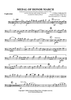 Medal of Honor March - Euphonium