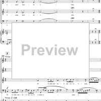 Mass No. 8 in C Major, "Mariazellermesse": No. 3, Credo