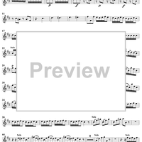Concerto in B Minor, Op. 3, No. 10, RV580 from "L'estro Armonico" - Violin 1