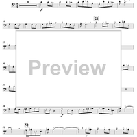 Dance Of The Slovaks