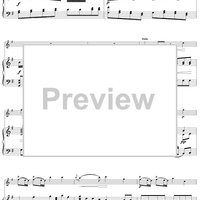 Flute Concerto in G Major, Allegro - Piano