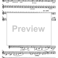 Divertimento Op.69 - Horn in F