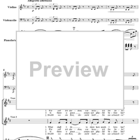 Twenty five Irische Lieder