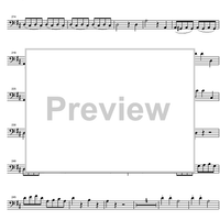 Divertimento No.11 D Major KV251 - Double Bass