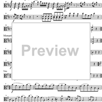 Divertimento No. 7 D Major KV205 - Viola