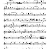 Invercargill (March) - Flute