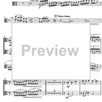 Am Wege zum Licht - Viola