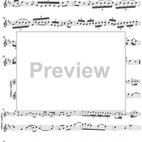 Flute Sonata in D Major, Op. 2, No. 5 - Flute