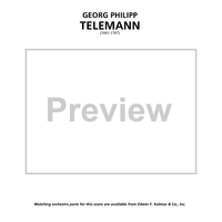 Double Concerto for Recorder and Flute in E minor - Score