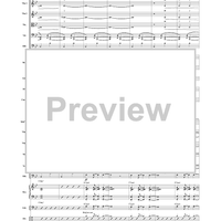 Brazilian Spice - Score