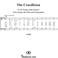 The Crucifixion: No. 10, Litany of the Passion