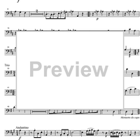 Divertimento No.11 D Major KV251 - Double Bass