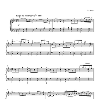 Concerto For Two Violins (2nd movement: Largo ma non troppo)