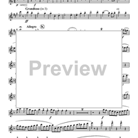 Turkey in the Straw - Flute