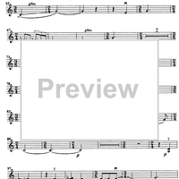 Godalni Quartet - Violin 2