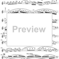 Concertino, Op. 107 - Flute