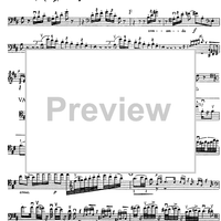 Variations on a Theme by Mozart - Double Bass