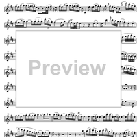 Concerto No. 1 G Major KV313 - Flute