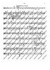 2. Concerto in C - Viola