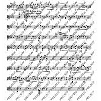 2. Concerto in C - Viola