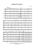 Coshocton Polka - Score