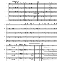 Coshocton Polka - Score