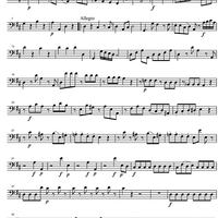 Divertimento No. 7 D Major KV205 - Bassoon/Double Bass