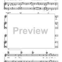 Magic in the Stars - from Disneyland Park