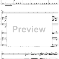 Flute Concerto in G Major - Piano