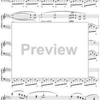 No. 1 in B-flat Minor, Op. 9, No. 1