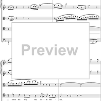 Cantata No. 13  "Meine Seufzer, Meine Thränen," BWV13