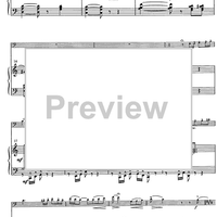 Suite andaluza - Score