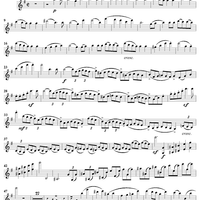 Violin Concerto in E Minor - Violin