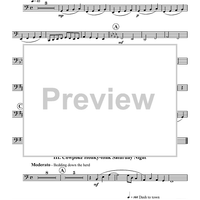 Western Suite - Tuba