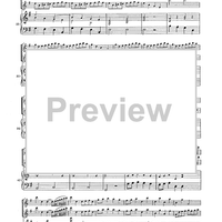 Double Concerto for Recorder and Flute in E minor - Score