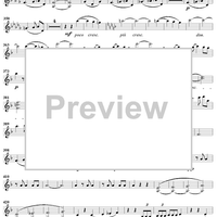 Trio No. 1 in F Major - Violin