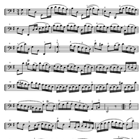 Suite No. 1 G Major BWV 1007 - Cello