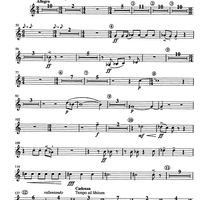 Concertino giocoso Op. 12 - Horn in F 2