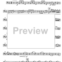 Im Schweizer Volkston - Bassoon