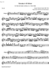 Sonata No. 3 b minor From Halle HWV 367b - Flute